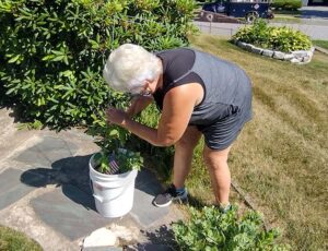 Elder Home Care, Summertime, and Lasagna Bucket Gardens